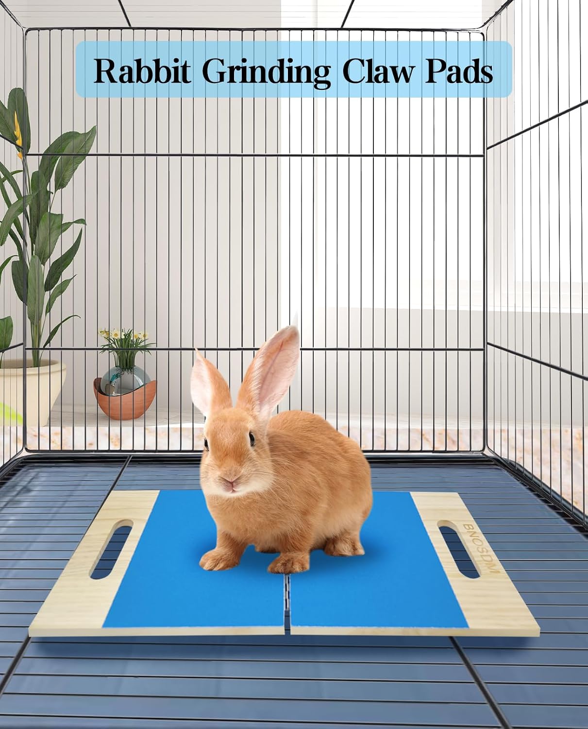 review BNOSDM Rabbit Scratching Pad Foldable Bunny Grinding Claw Pads Folding Rabbits Scratch Foot Board for Nails, Replaceable Sandpaper Pet Scratcher Mat for Cats, Kittens, Bunnies