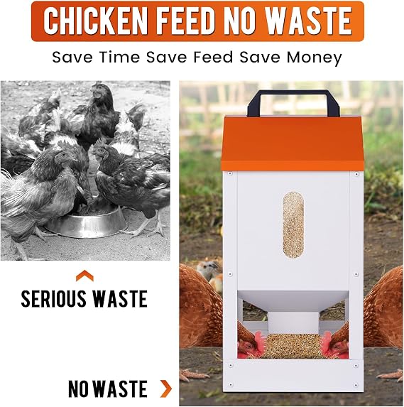 Galvanized Automatic Chicken Feeder No Waste 20lbs Large Metal Chicken Feeders Trough Dispenser Outdoor Poultry Feeders with Visual Window and Weatherproof Lid for Chickens Ducks Geese Turkeys Quails