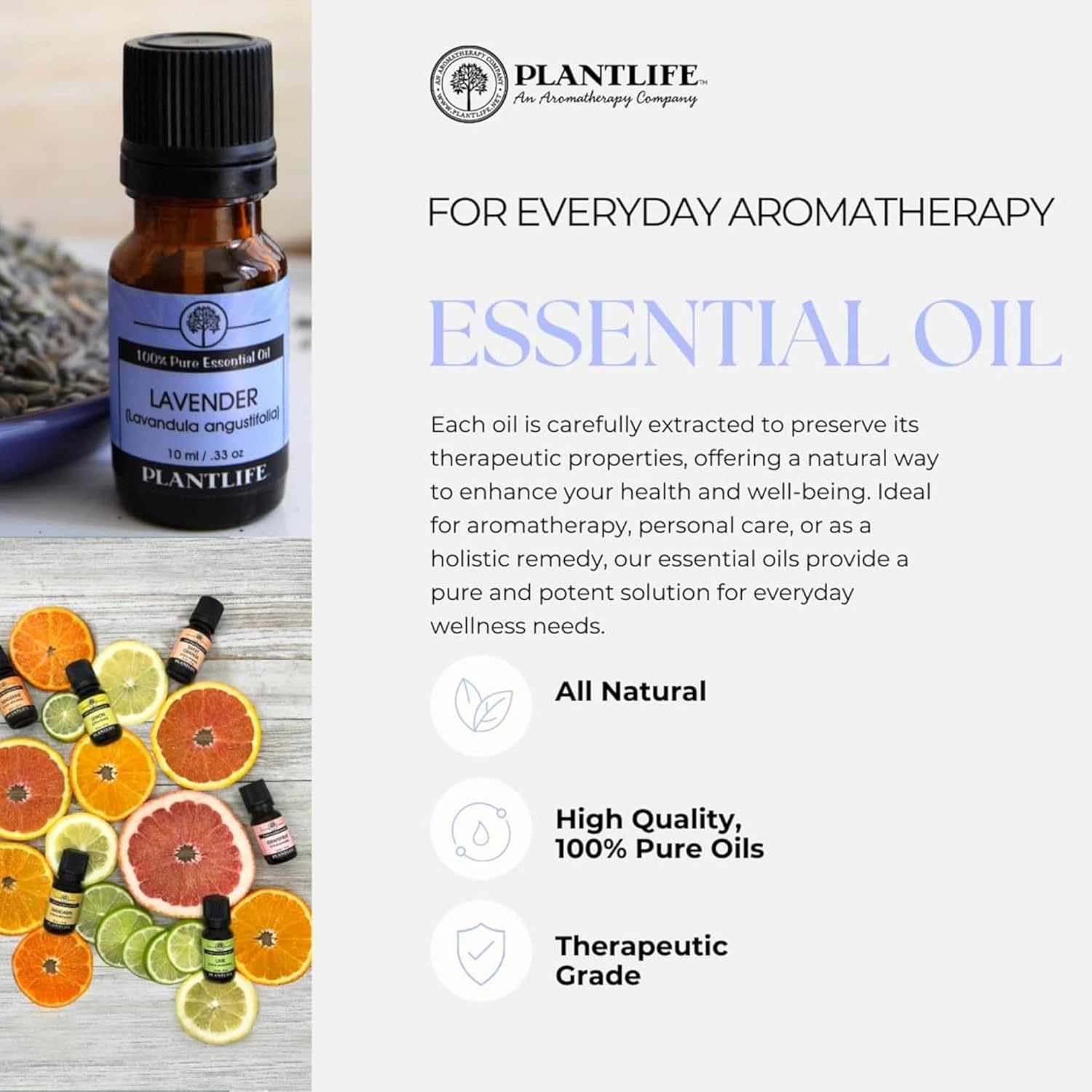 Plantlife Cardamom Aromatherapy Essential Oil - Straight from The Plant 100% Pure Therapeutic Grade - No Additives or Fillers - 10 ml