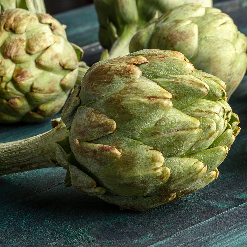 Artichoke Imperial Star Seeds – Carciofo Italiano – Premium Italian Variety for Tender, Thornless Globes – Easy to Grow