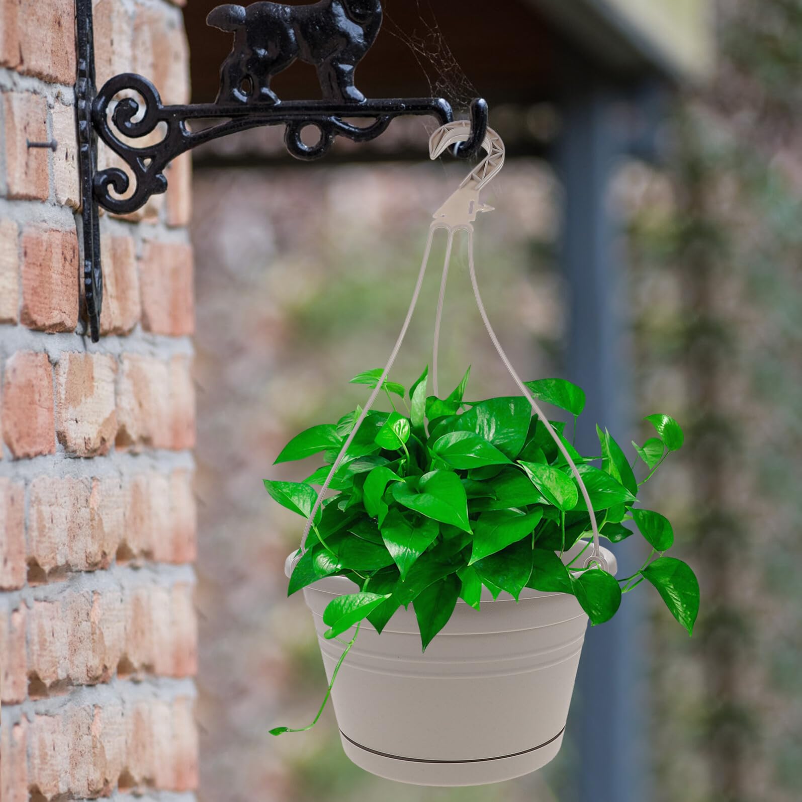 Set 3 Pezzi Vasi Appesi in Plastica per Piante da Balcone e Giardino, Portavasi Sospesi Multifunzionali Ganci per Decorazione Casa e Esterni