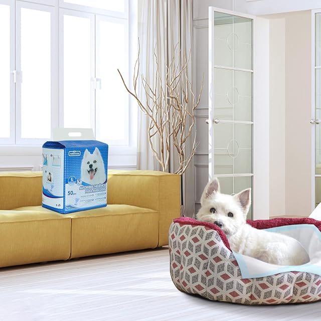 Foto 7 de 8 de Nobleza - 50 x Empapadores Perros Alfombrilla higiénica de Entrenamiento para Perros. Ultraabsorbente…