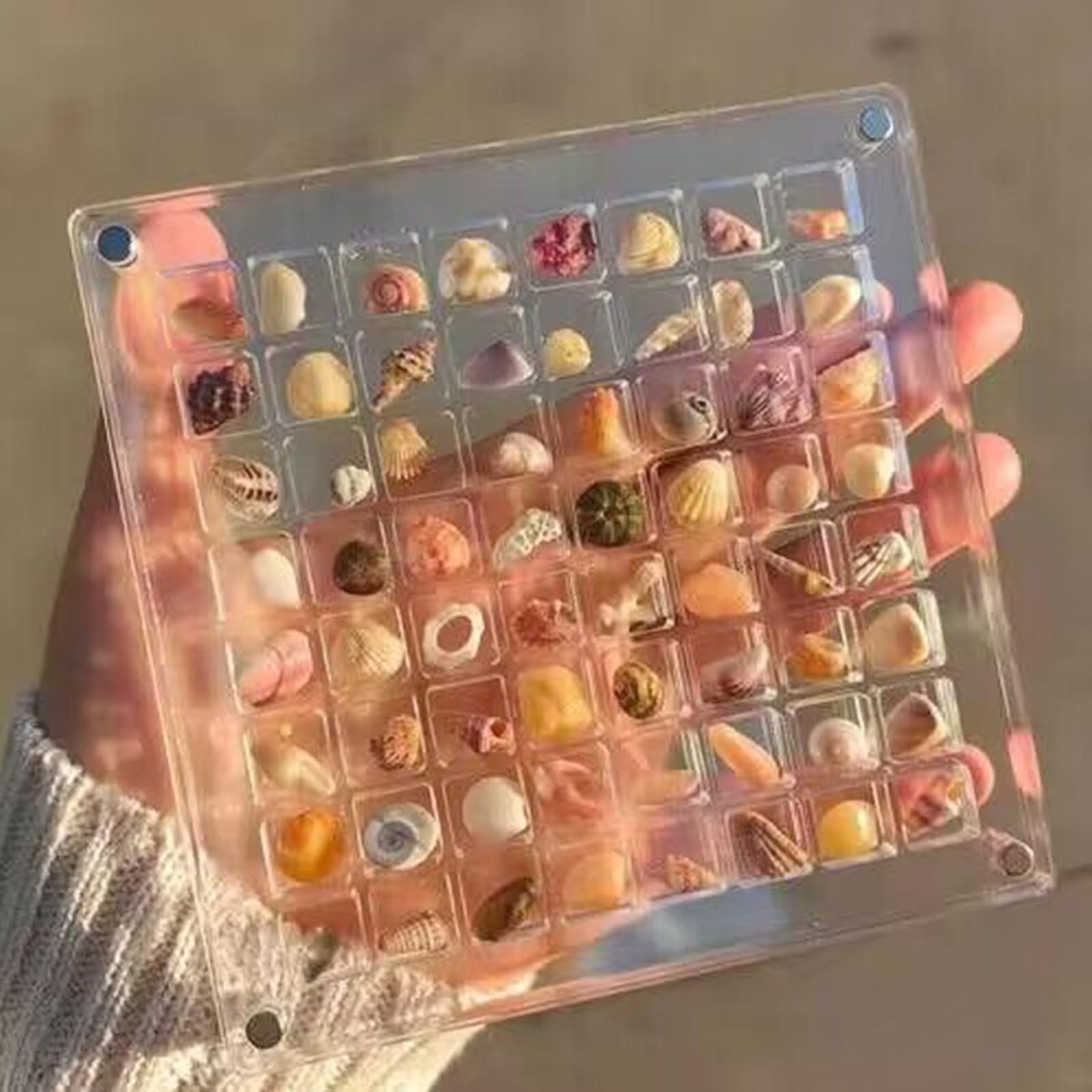 Jazuaiao Shell Display Organizer with Adhesive Sturdy Acrylic Container for Enthusiasts Collectors Exhibition Hall Cabinet