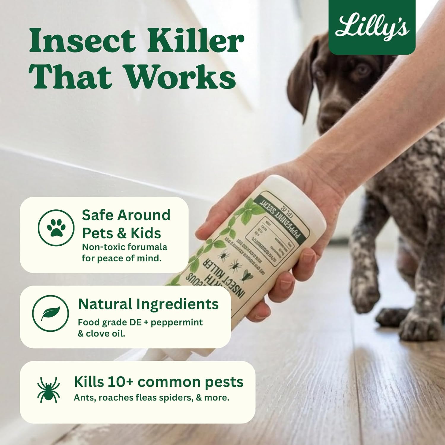 Diatomaceous Earth Food Grade with Peppermint Oil Crawling Insect Killer | Indoor Pest Control Powder for Bed Bug, Roach, Ant, Fleas | Lilly's naturals, 32 fl oz