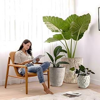 Round Concrete Style Planter Set of 3, Large Outdoor Flower Pots with Dr...