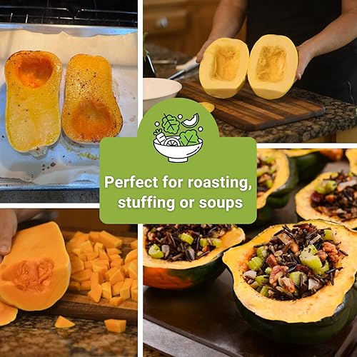 Miniatura 6 de Sow Right Seeds - Colección de semillas de calabaza de invierno para plantar - Mesa de espaguetis, Waltham Butternut y Bellota Semillas de calabaza