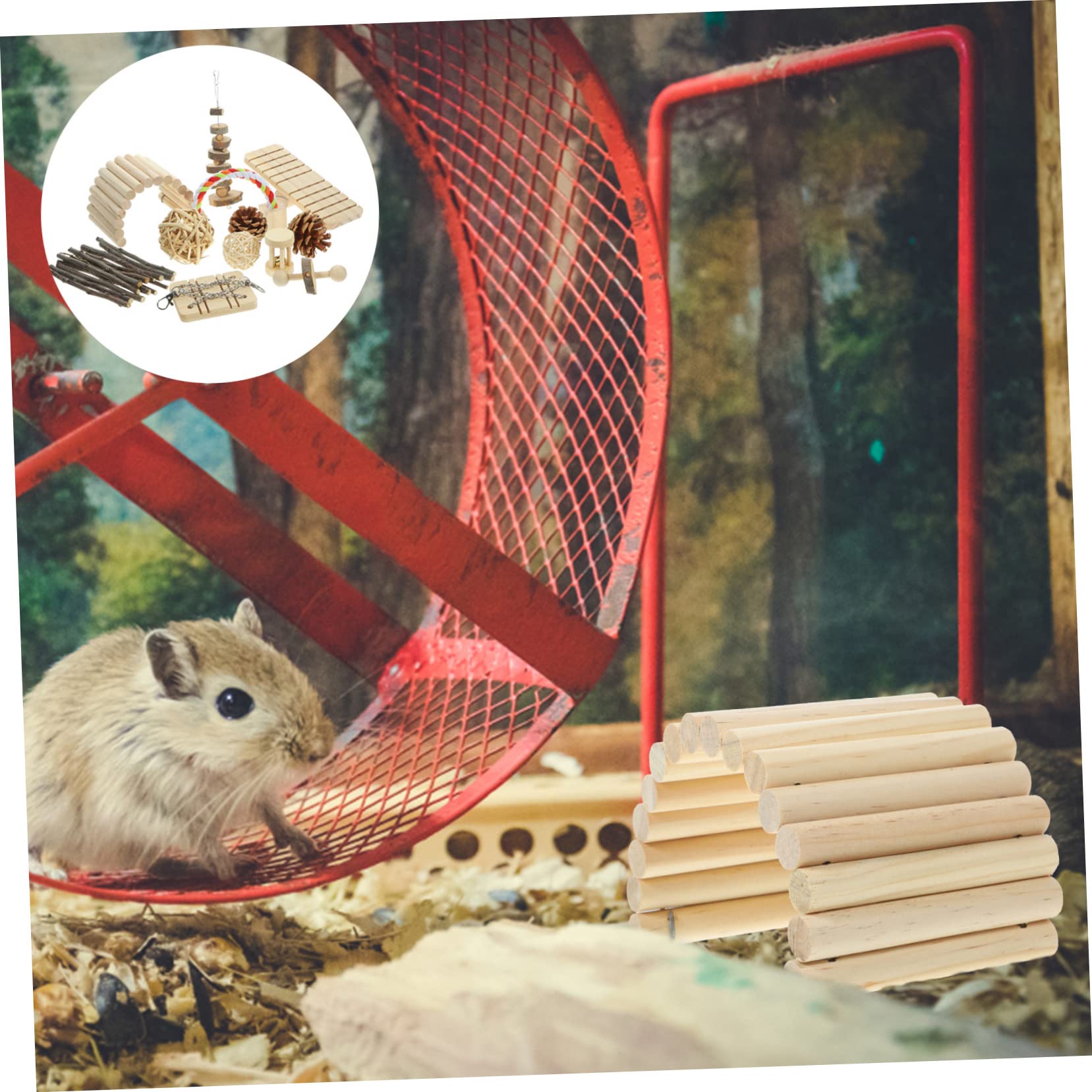 BESPORTBLE Giocattoli Da Masticare Per Criceti e Conigli Giochi Multifunzionali Per Animali Design Naturale e Sicuro Include e Confezione