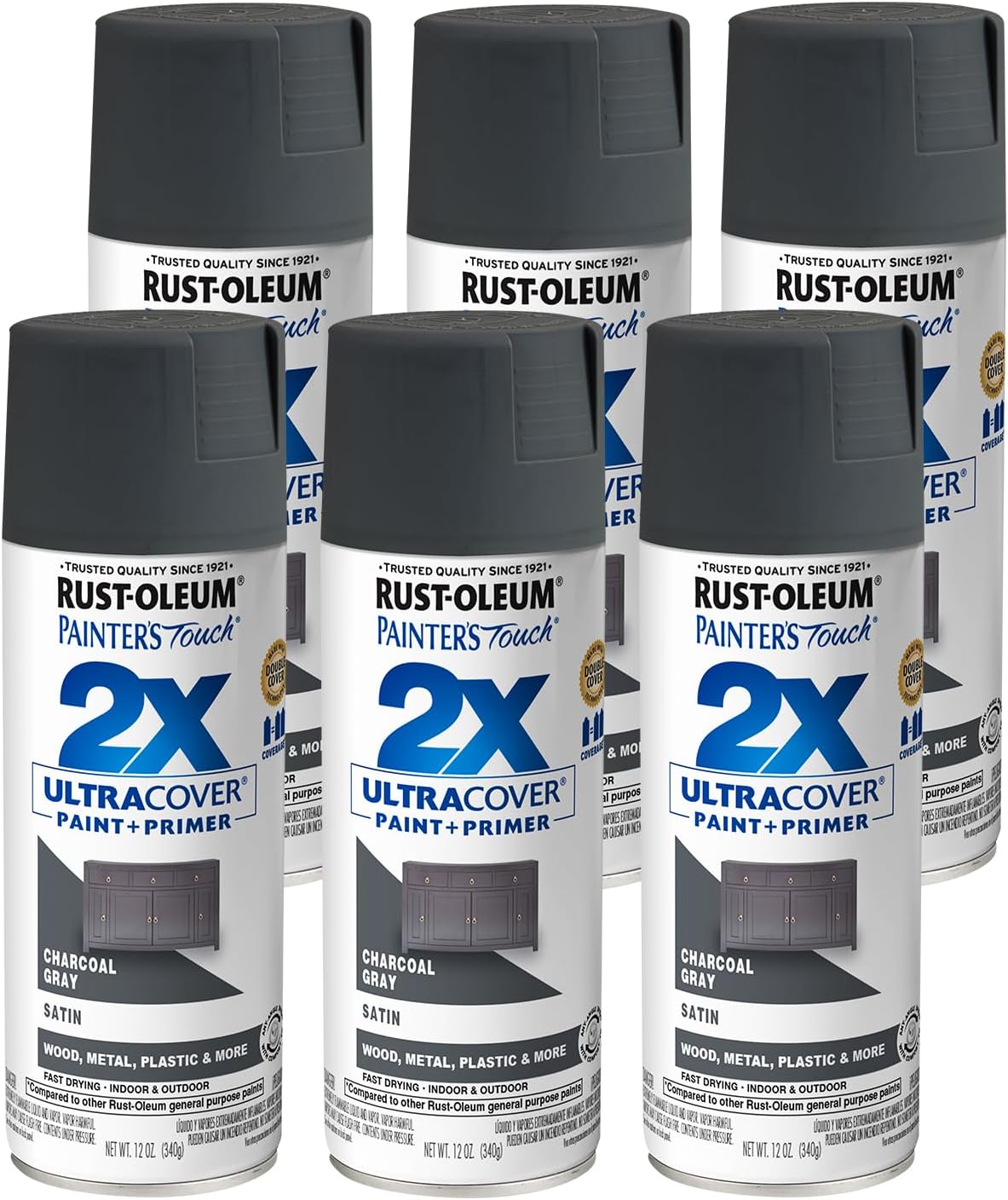 Painter's Touch 2X Satin Charcoal Spray Paint 12 oz (6 pack)