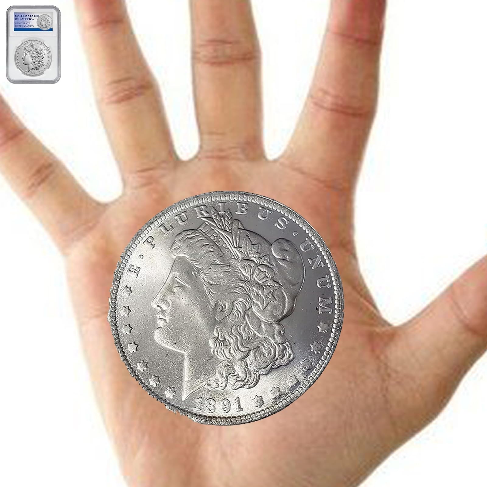 1981 srebrne rogi 1 oz .999 czysty Morgan Silver Dollar (Pre 2024 Morgan Silver Dollar 1878 do 1981)