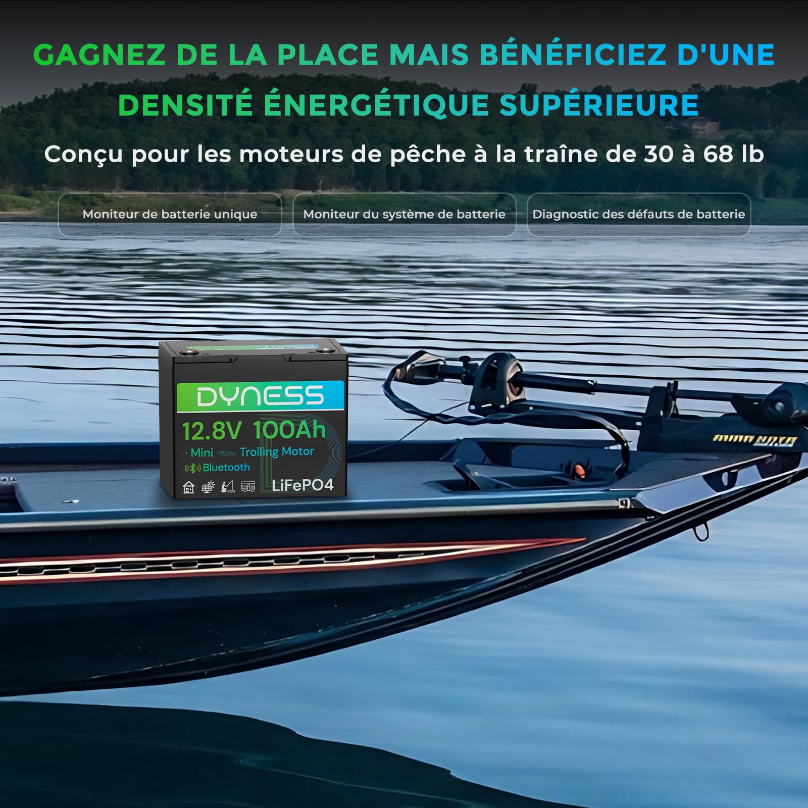Dyness Batterie Lithium 12V 100 Ah Mini Bluetooth LiFePO4 avec Protection 100A BMS, Batterie Lithium Camping-Car pour kit Panneau Solaire, Caravane