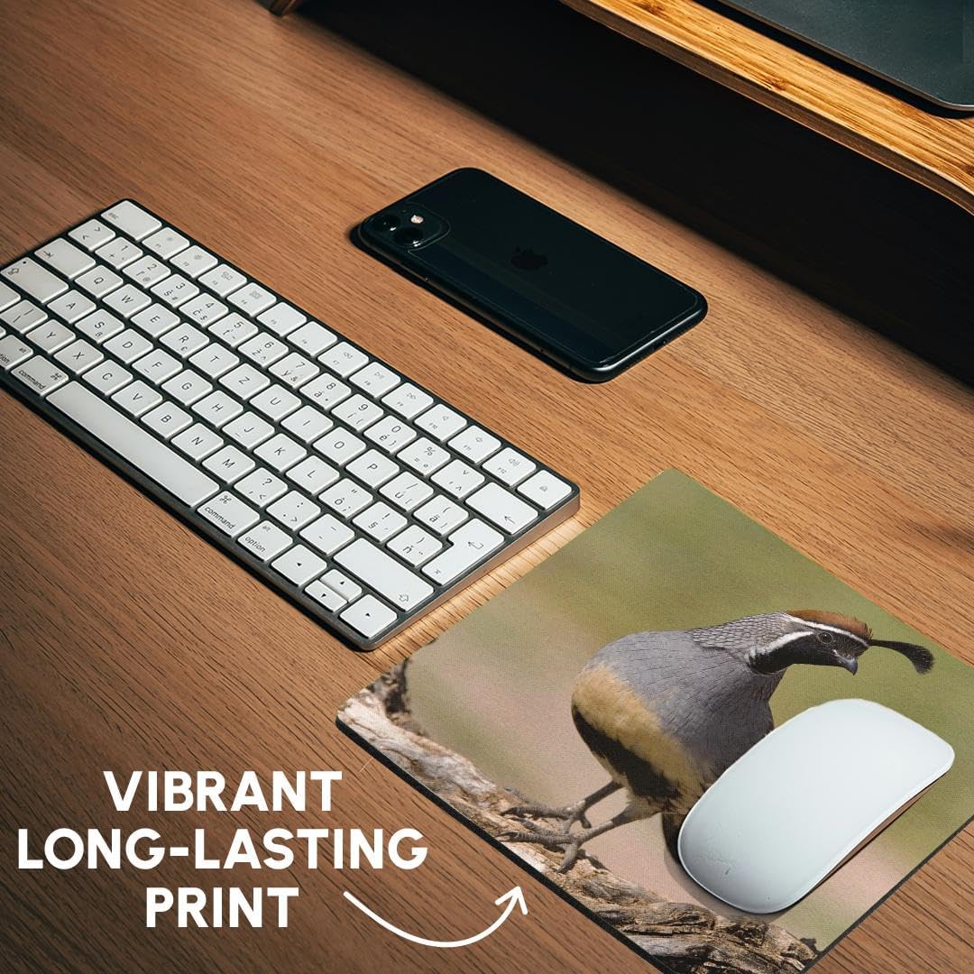 3dRose LLC 8 x 8 x 0.25 Gambels Quail Bird Tuscon Arizona Rolf Nussbaumer Mouse Pad (mp_84265_1)