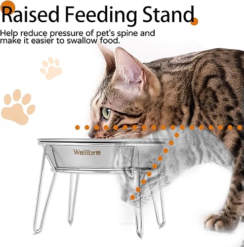 Miniatura 2 de Cuencos elevados para gatos, 5.9 pulgadas de ancho, tazones de comida para gatos de acero inoxidable con soporte de metal, sin estrés, plato elevado