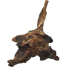 amtra Mystic Wood 15-20 cm