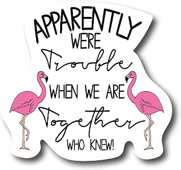 Apparently Were Trouble When We are Together Funny Pink Flamingo 4.5 in Refrigerator Magnets Funny Magnets for Fridge Dishwasher, Whiteboard, Toolbox or Car and Truck |PM557|