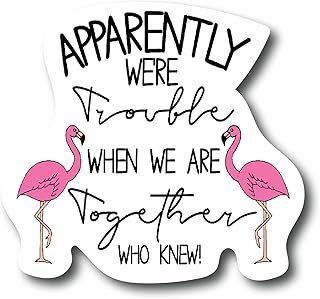 Apparently We're Trouble When We are Together Funny Pink Flamingo 4.5 in Refrigerator Magnets – Funny Magnets for Fridge Dishwasher, Whiteboard, Toolbox or Car and Truck |PM557|