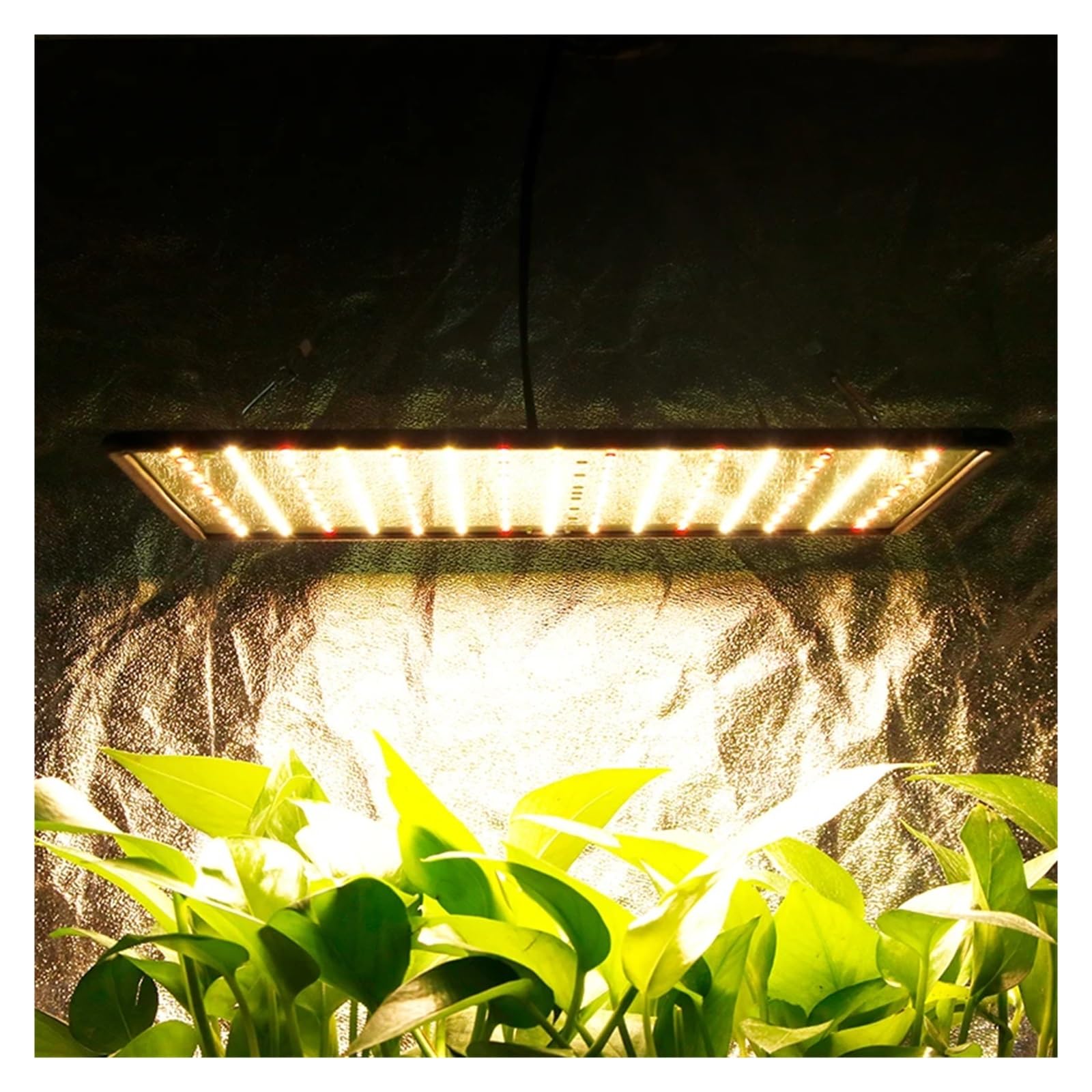 Pflanzenlicht, 3500K Wachsen Zelt Lampe 1000W LED Licht Panel Phyto for Pflanzen Volle Led-leuchten for Innen Blumen(1pc multiple colour)