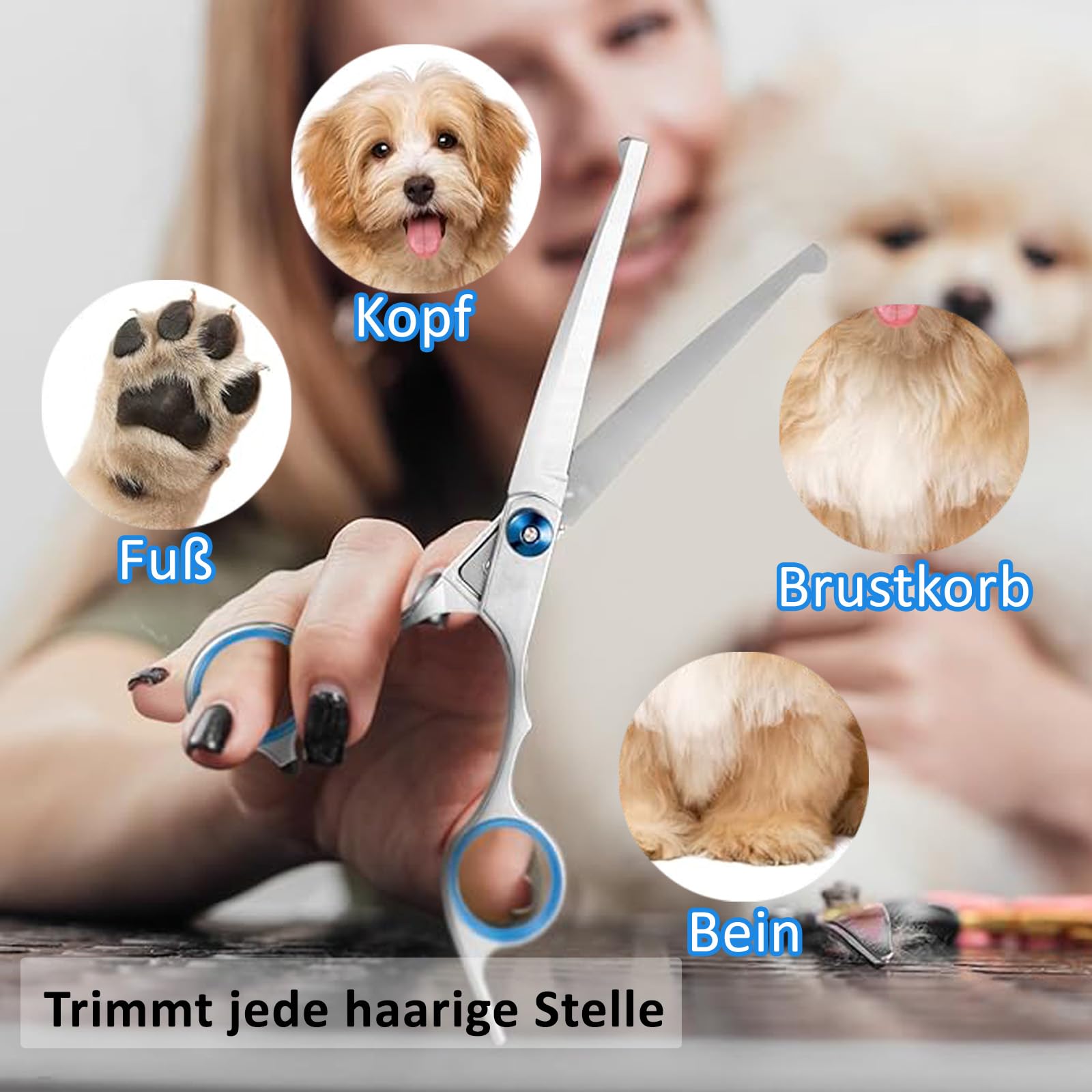 Ciseaux de toilettage pour chiens et chats en acier inoxydable, bleu, moderne
