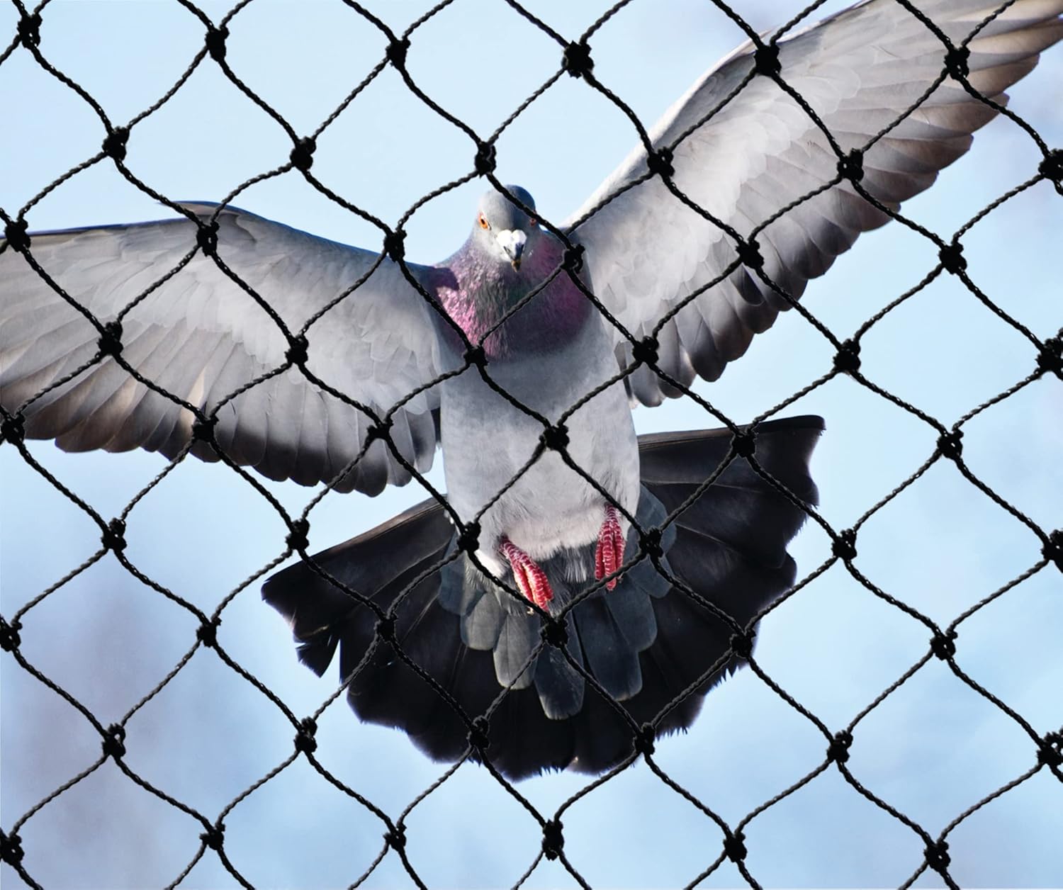 Bird-X PE-Plus Premium Bird Net, Ideal for Gardens and Commerical Applications, Durable Polyethylene Mesh Netting, 3/4" Hole Openings, 50' x 50', Black, NET-PE-50-50