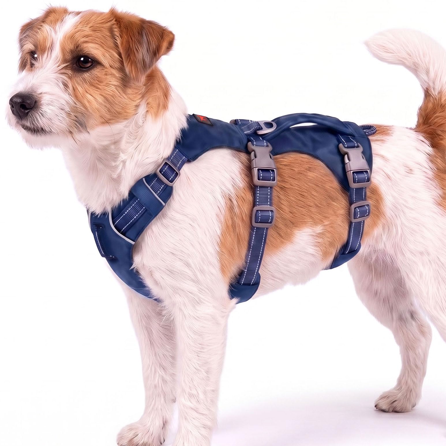Tuff Pupper Escape Proof Dog Harness