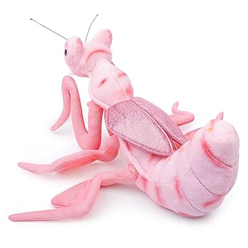 Amazon.co.jp: 節足動物カマキリぬいぐるみ 可愛くてリアルな