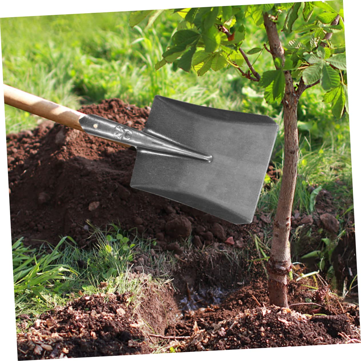 Gartenspaten aus Stahl für Gartenarbeiten und Pflanzen, Leicht