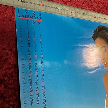 フローレンス芳賀？　ニノミヤムセン　1985年度カレンダー付き　B1　ポスター Amazon.co.jp: フローレンス芳賀？ ニノミヤムセン 1985年度