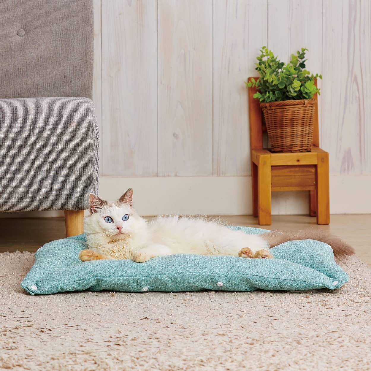 Amazon | アドメイト(ADD.MATE) 犬猫用ベッド Cuna クーナ スプレッド