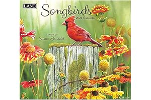 LANG 2024 Wall Calendar Birds (24991001880)