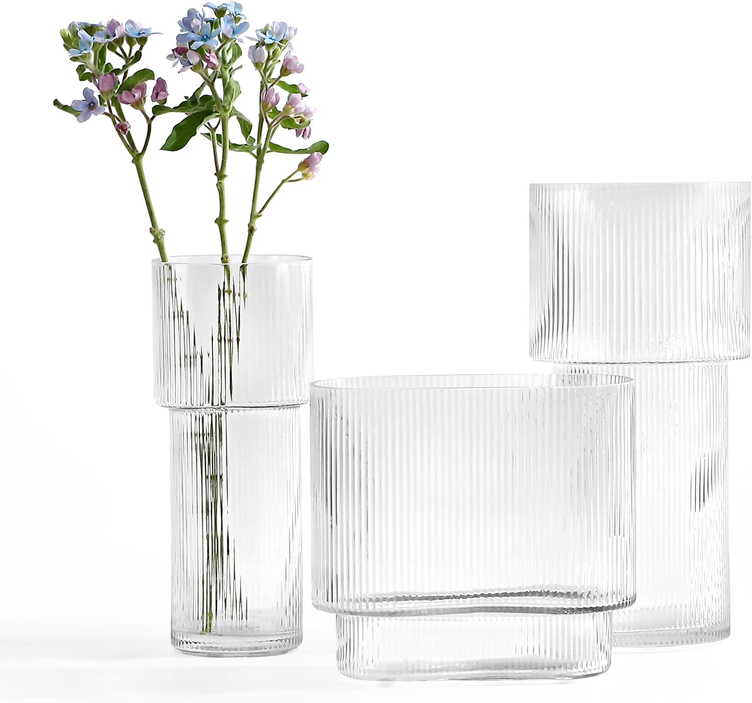 SAFAVIEH Home Collection Ceva Clear Fluted Glass Vase Set of 3