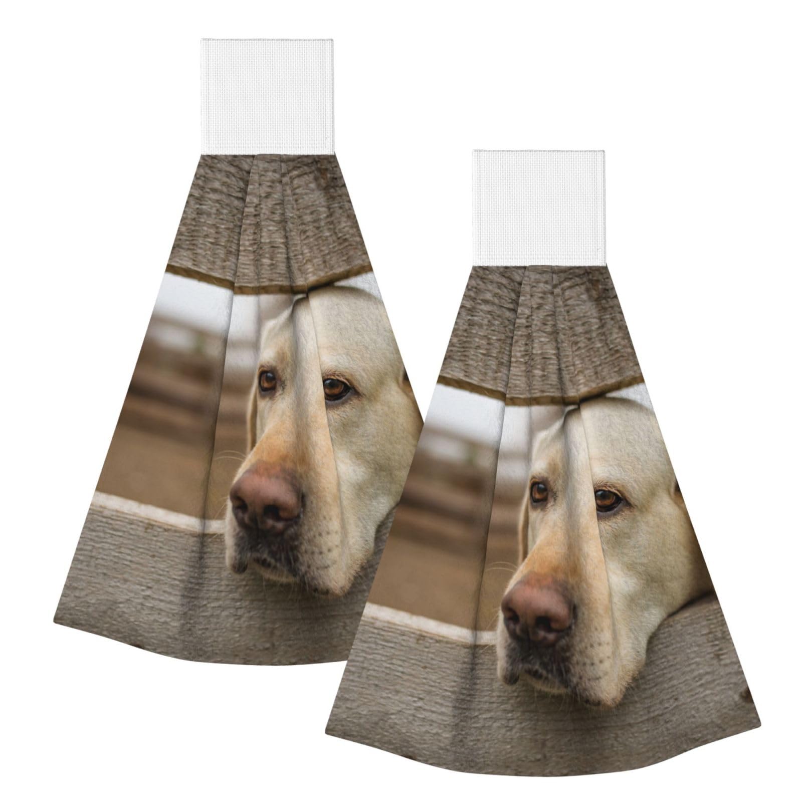 DOPKLNA Labrador Retriever Photos, 2 Pcs Hanging Coral Fiber Hand Towels for Bathroom, Absorbent Kitchen Towels