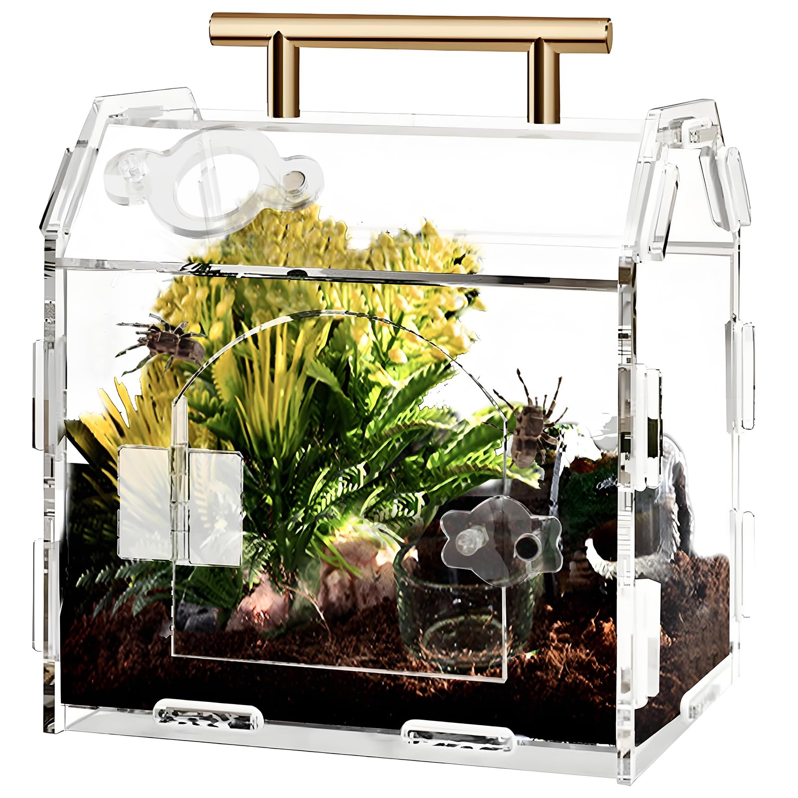 Small Acrylic Terrarium For Jumping Spiders & Micro Pets - 5.9x4.7x6.1" With Magnetic Door & Ventilation