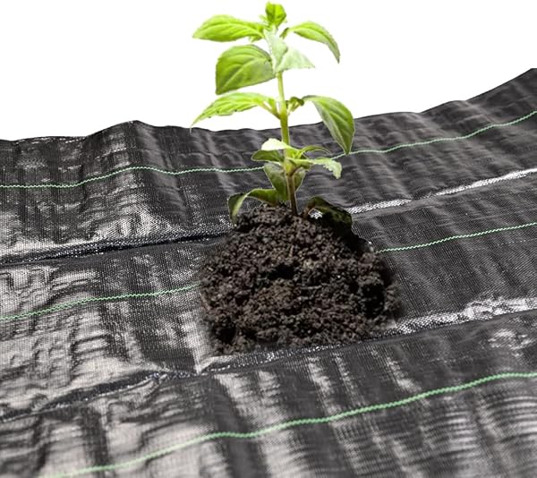 Ram® Heavy Duty Weed Fabric Control 2M X 5M Weed Control Fabric Ground Cover Membrane UV Stabilised Weed Fabric For Patios Garden Flower Beds Landscaping (2M X 5M) - 3