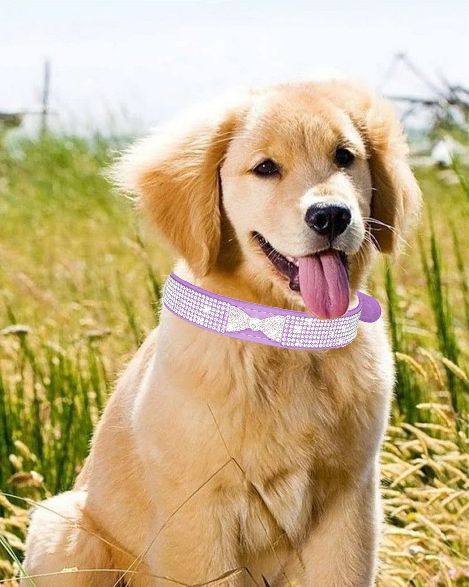 Hundehalsband für kleine Hunde, Verstellbares Leder Wildleder Bling Hundehalsbänder, Rosa Hundehalsband Katzenhalsband, Strass Hundehalsband (XS, lila4)