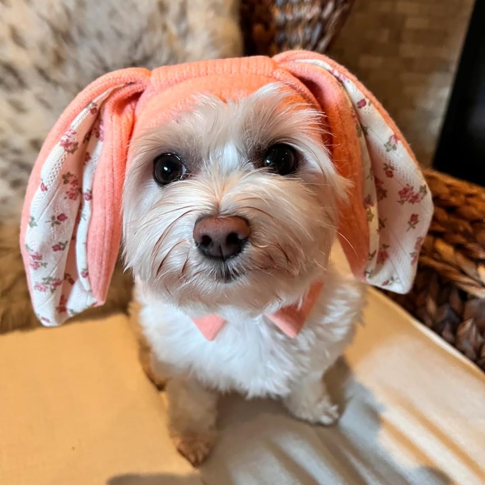 Rabbit Quiet Ears for Dogs Pet Ear Muffs Noise Protection Knitted Dog Hats Pet Warm Dog Ear Cover Winter Hat Dog Head Wrap Bunny Costume for Cats Pets (Pink - Image 4