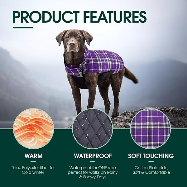 Kuoser Kuoser Waterproof Dog Coat, Reversible Dog Jacket for Large Dogs, Adjustable Durable Doggie Winter Coat for Groowing Puppies Warm Puppy Cold Weather Apparel, Purple XS in use