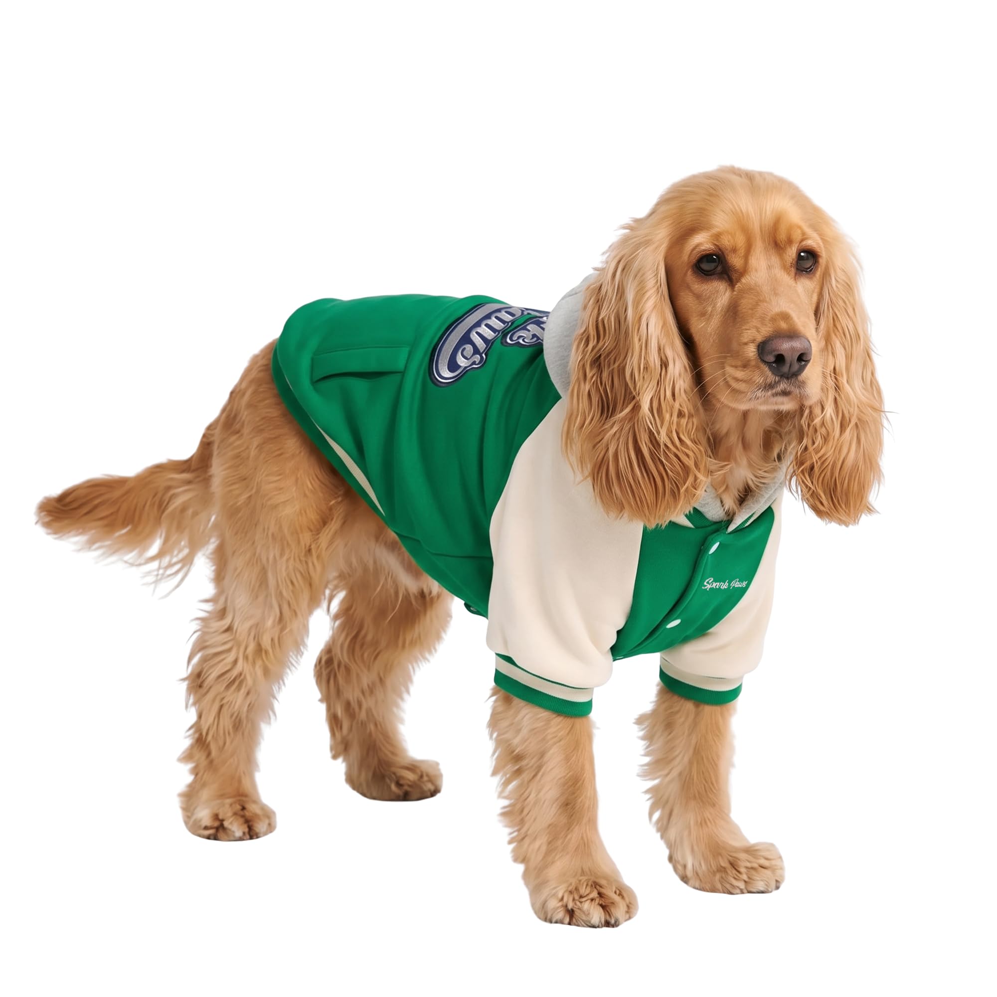 Spark Paws Varsity Dog Hoodie - Dog Sweater for Small Medium Large Dogs