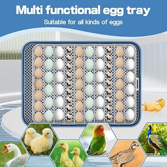 HOWOOlUA 70 Egg Incubator for Hatching Eggs withAuto Turn, Temp & Humidity Control, Built-in CandleLarge Capacity Egg Incubator for Chicken Duck Goose Eggs