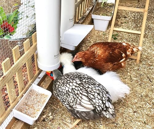 Royal Rooster Chicken Feeder And Waterer Set - Includes 2X 1 Gallon Waterers And 2X 7Lb Feeder For Chickens - Hanging Chicken Poultry Feeder And Chicken Waterer Kit For The Growing Chicken Coop #TOP5