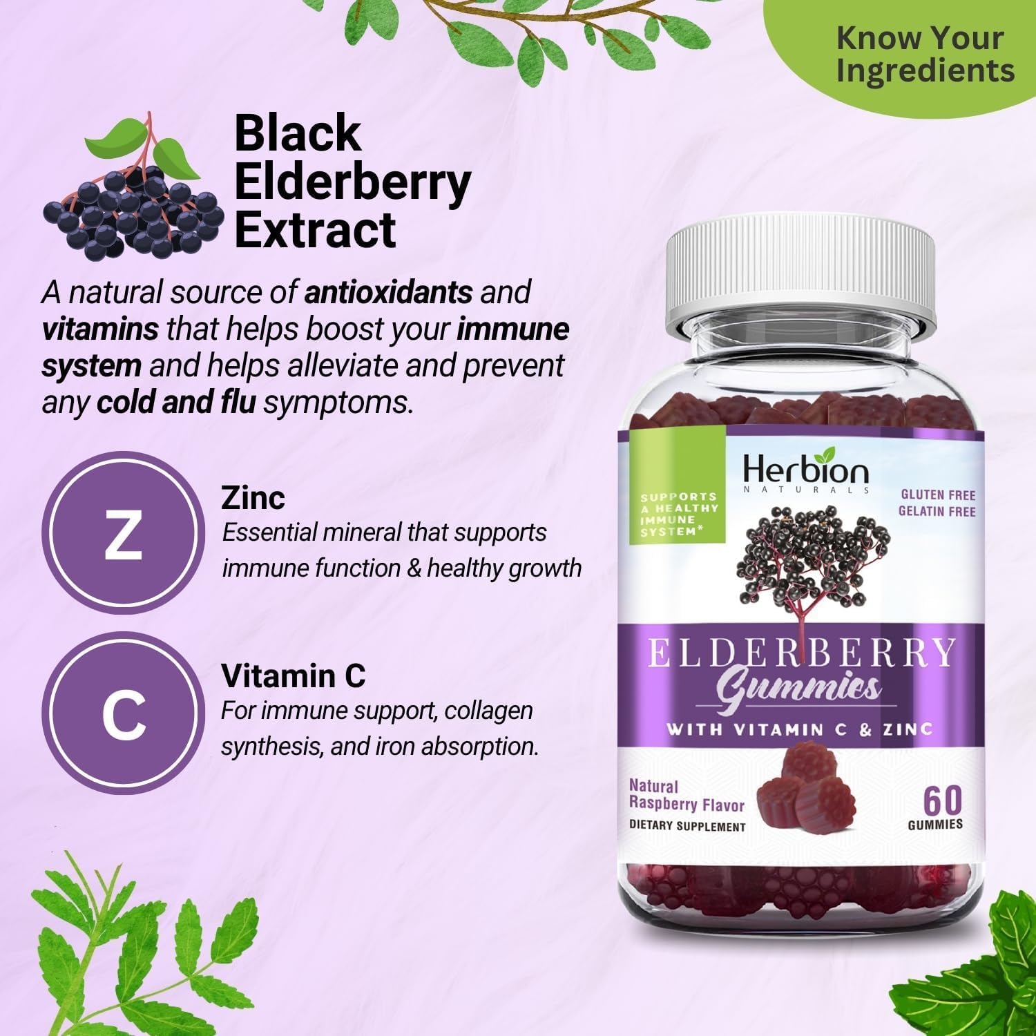 HERBION Elderberry Gummies with Vitamin C & Zinc, Healthy Immune System Support, Gluten-Free & Gelatin-Free, 60 Gummies for Adults & Children 4 Years & Above, Made in USA, Pack of 2