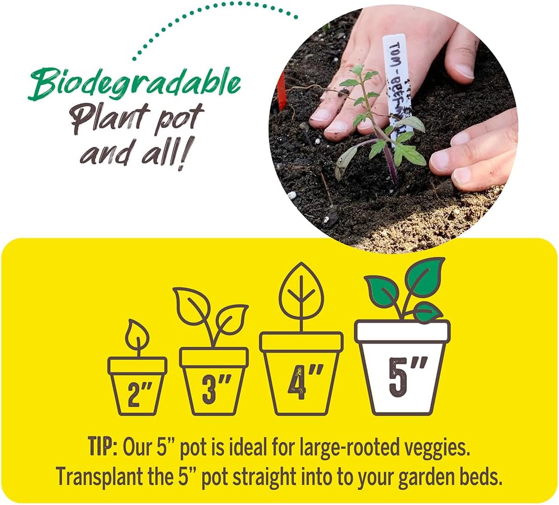 Jiffy Plant Pot - Organic Seed Starting, Biodegradable Pots for Seedlings - 5 in, 100 Pots - Peat