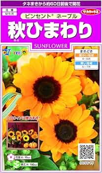 71Frfhx8o9L._AC_UF350,