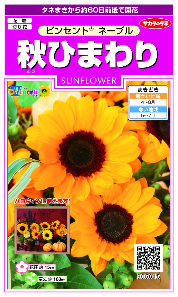 Amazon | サカタのタネ 秋ひまわり ビンセントネーブル | 花