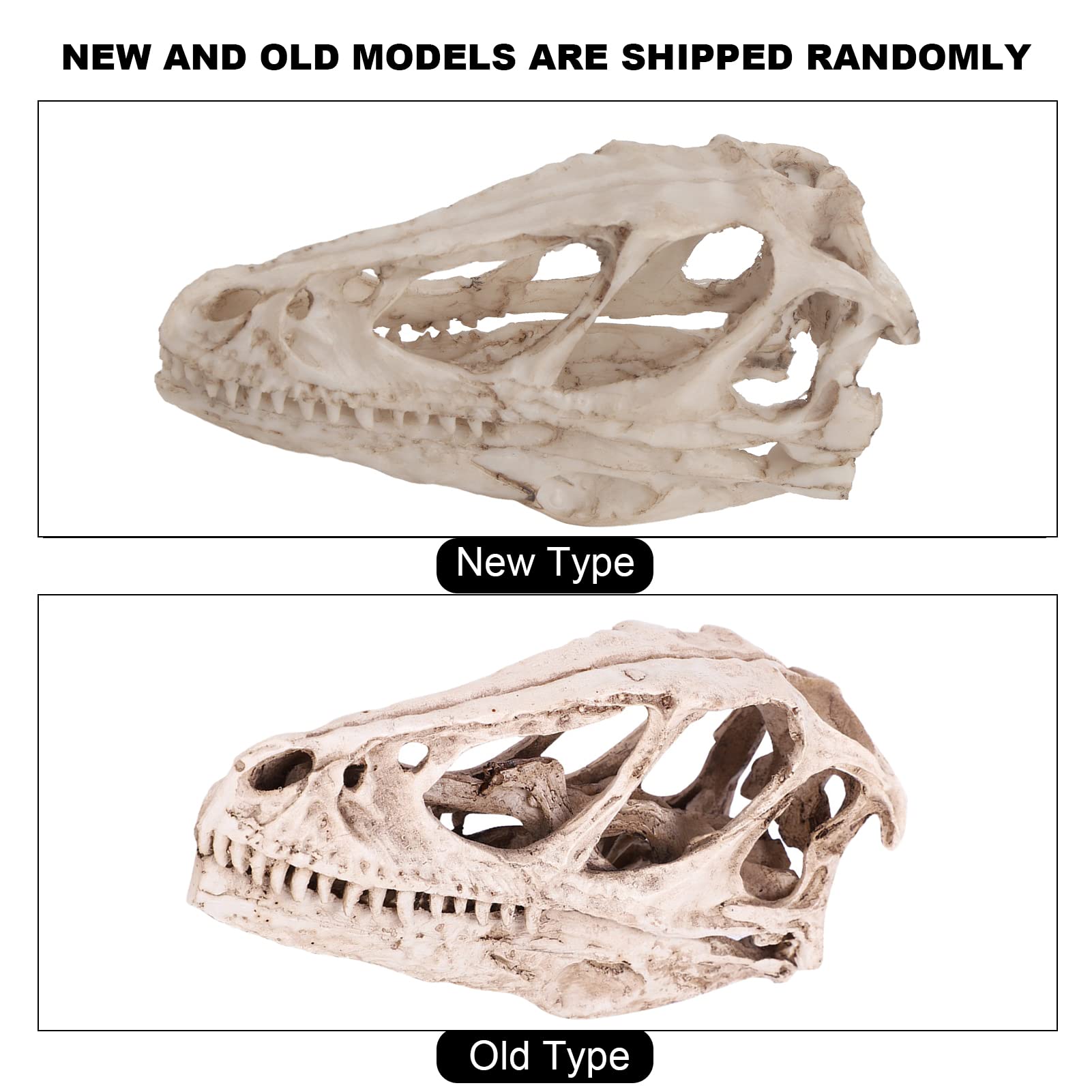 Srliya Grand Modèle de Crâne de Dinosaure 18 × 11 × 9, Modèle de Crâne de Dinosaure en Gomme, Simulation de Squelette d'animal, Décor Artisanal, Accessoire D'enseignement