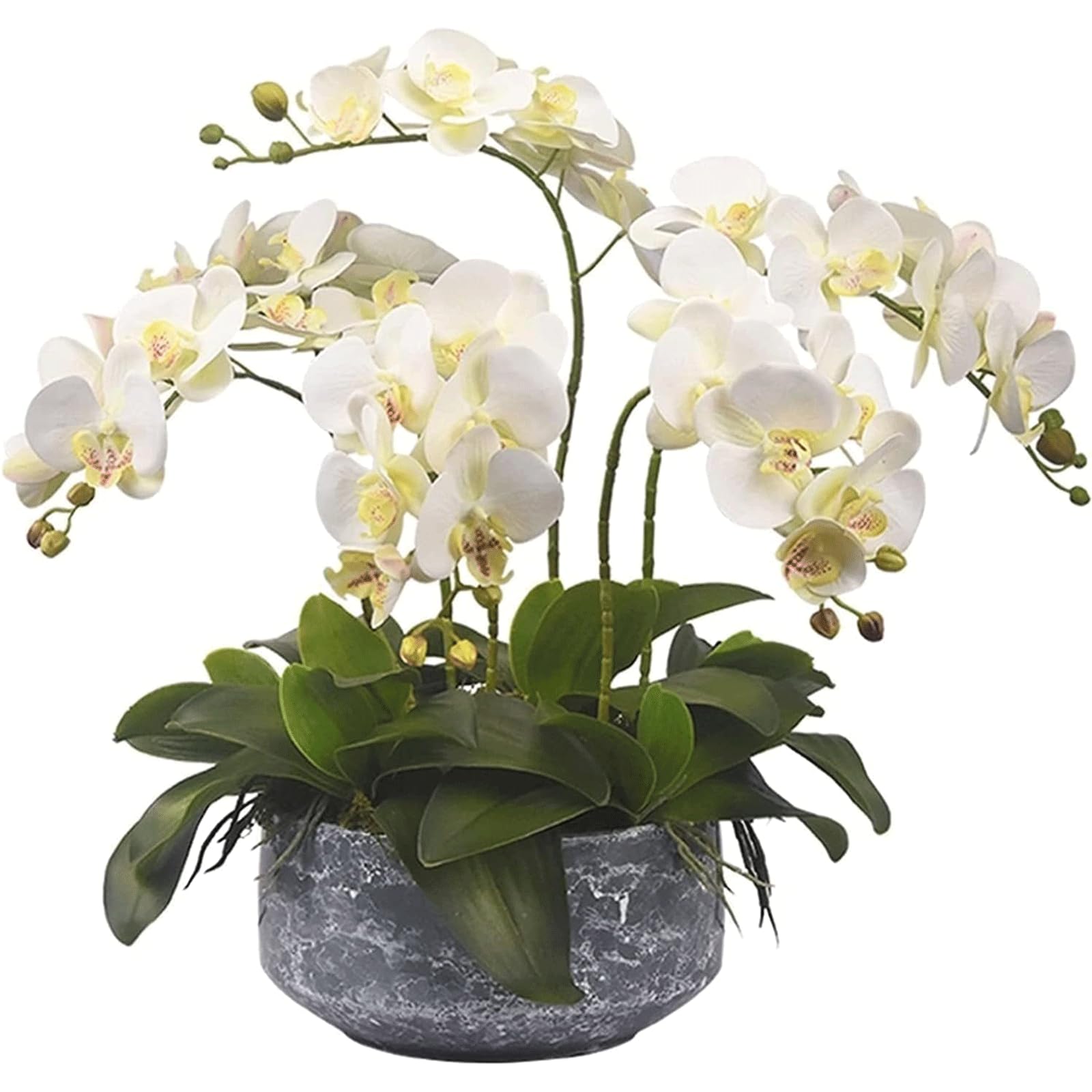 XDLEDMKIZ Orchid Artificial Flowers Fake Flowers Vivid Artificial Plants Flowers Table Party Decorations