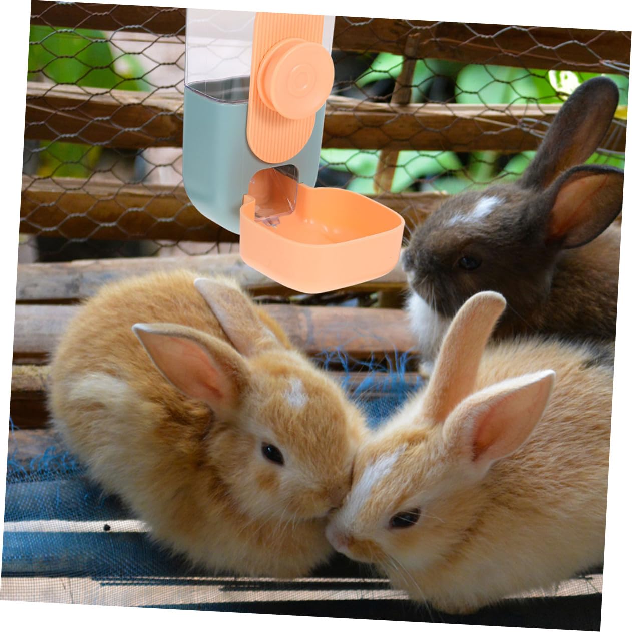 Dispenser Automatico Appendibile per Cibo e Acqua per Porcellini Conigli in Plastica Sicura Alimentatore Conveniente per Piccoli Animali Design Compatto e Duraturo