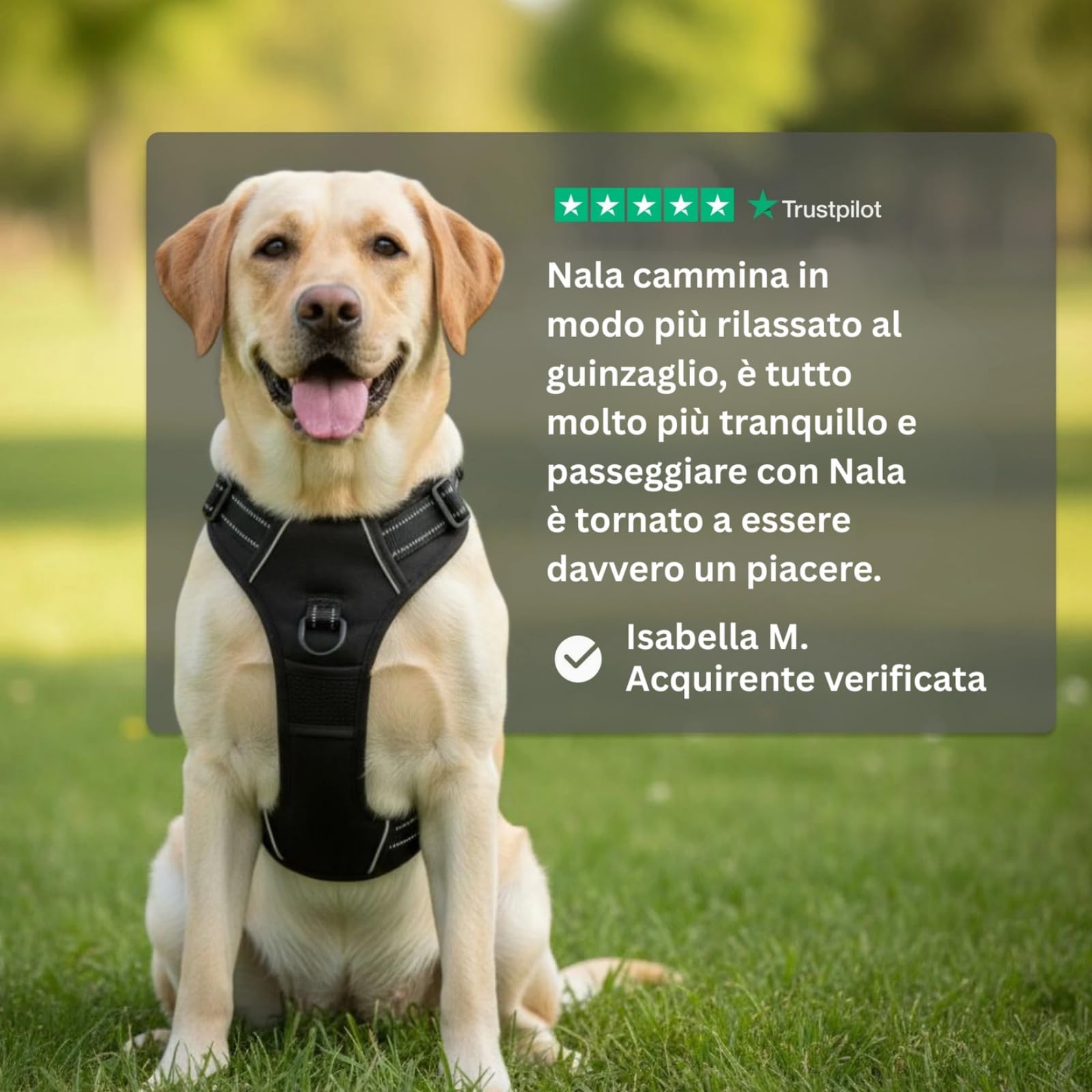 Cosyrae Pettorina Anti Tiro,Pettorina per Cane Anti-tiro,Morbida e Imbottita con Fibbia Regolabile e Anello Rinforzato,Riduce Strattoni per Passeggiate