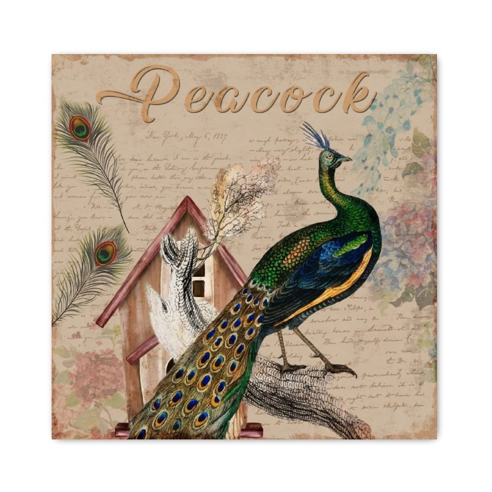 Décoration murale de style campagnard en bois peint motif plume de paon chic