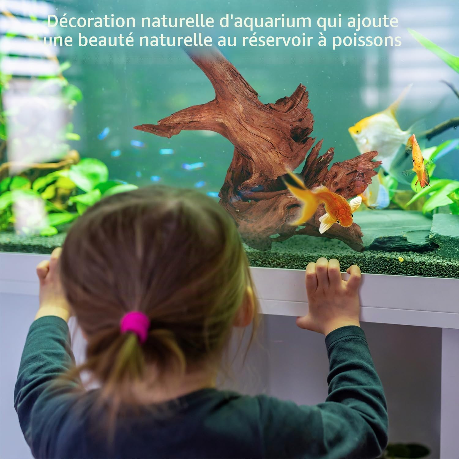WDEFUN Lot de 2 Bois flotté de Corail Naturel pour Aquarium 254 cm de Long et 381 cm de Long Bois flotté de Grande Taille pour décoration sur Aquarium Aquarium Aquarium Aquarium Aquarium Reptiles.