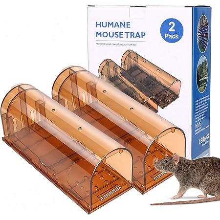 Golwof Piege A Souris 2pcs Piege Humain Souriciere Souris Vivant Piege A Rats Reutilisable Ratiere Avec La Queue Anti Cassee Et Trous D Aeration Pour Interieur Exterieur Cuisine Jardi Magasin Garage Amazon Fr Jardin
