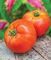 Vista 7 de Burpee - Semillas de tomate híbrido "Big Boy", tomate grande para rebanada con sabor rico, 50 semillas no-GMO